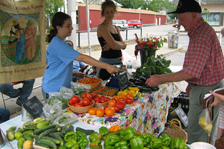 Mezőgazdasági őstermelők bevallása