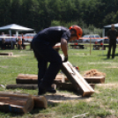 Felbőgtek a motoros fűrészek Ropolypusztán 