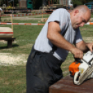 Felbőgtek a motoros fűrészek Ropolypusztán 