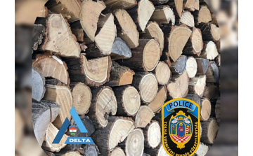 Trükkös online tűzifa árusok