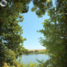 Deltások a Zselicben