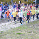 Hét érem a mezeifutó sorozat bajai állomásán