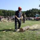 Felbőgtek a motoros fűrészek Ropolypusztán 