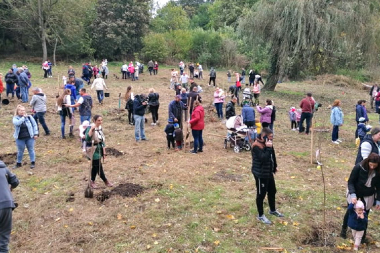 Közel száz gyermeknek ültettek fát szüleik Dombóváron