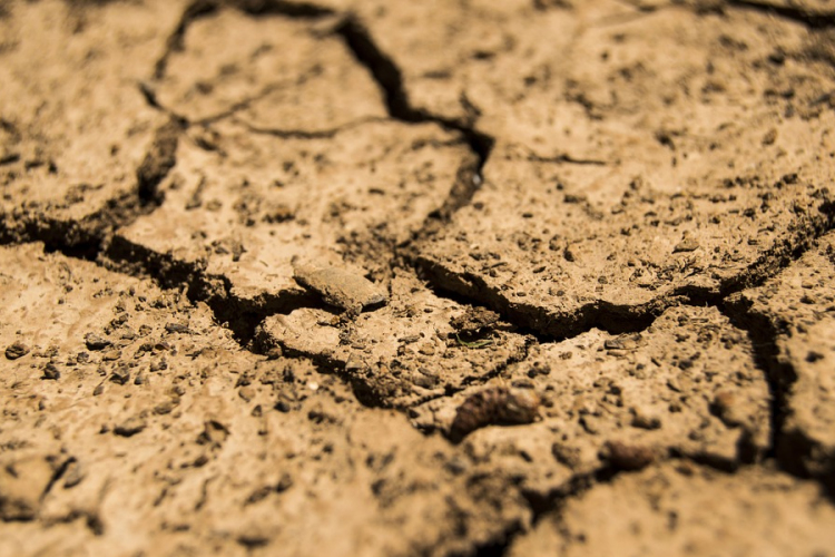 Április közepétől indulhat az aszály-előrejelző rendszer