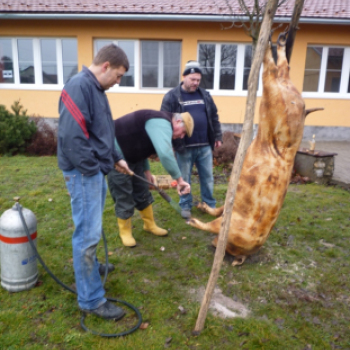 Hagyományőrző sváb disznóvágás Kaposszekcsőn