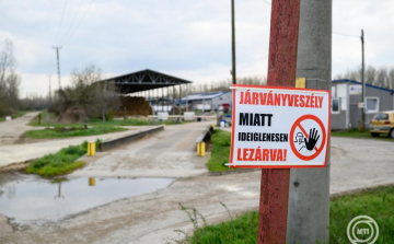 Újabb két telepen jelent meg Győr-Moson-Sopron vármegyében a ragadós száj- és körömfájás vírusa