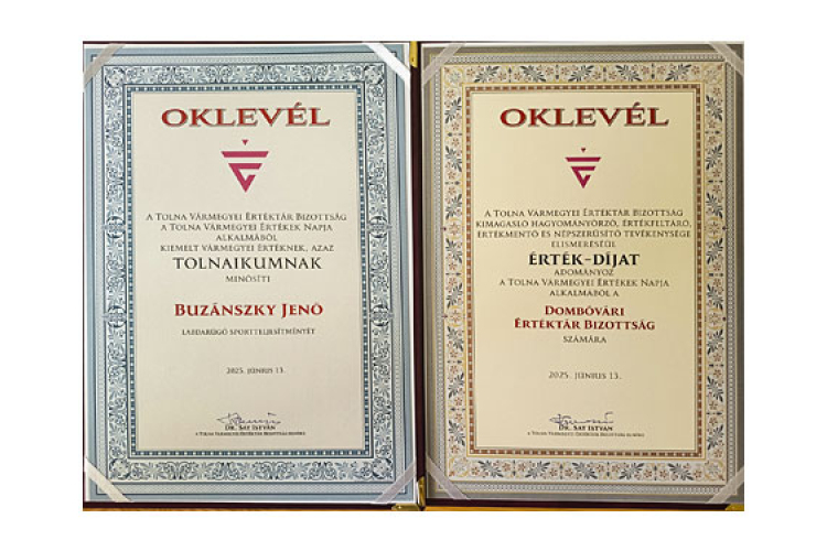 Dombóvári sikerek a Tolna Vármegyei Értékek Napján